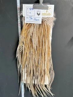 Flash Sale Hackle 551 - Heritage Saddle - Variant (size 14-16)