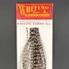 Whiting 100 Pack Dry Fly Hackle - Grizzly Dyed Medium Dun - 10