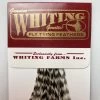Whiting 100 Pack Dry Fly Hackle - Grizzly - 10