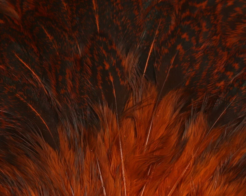 Hareline India Hen Back - Image 3