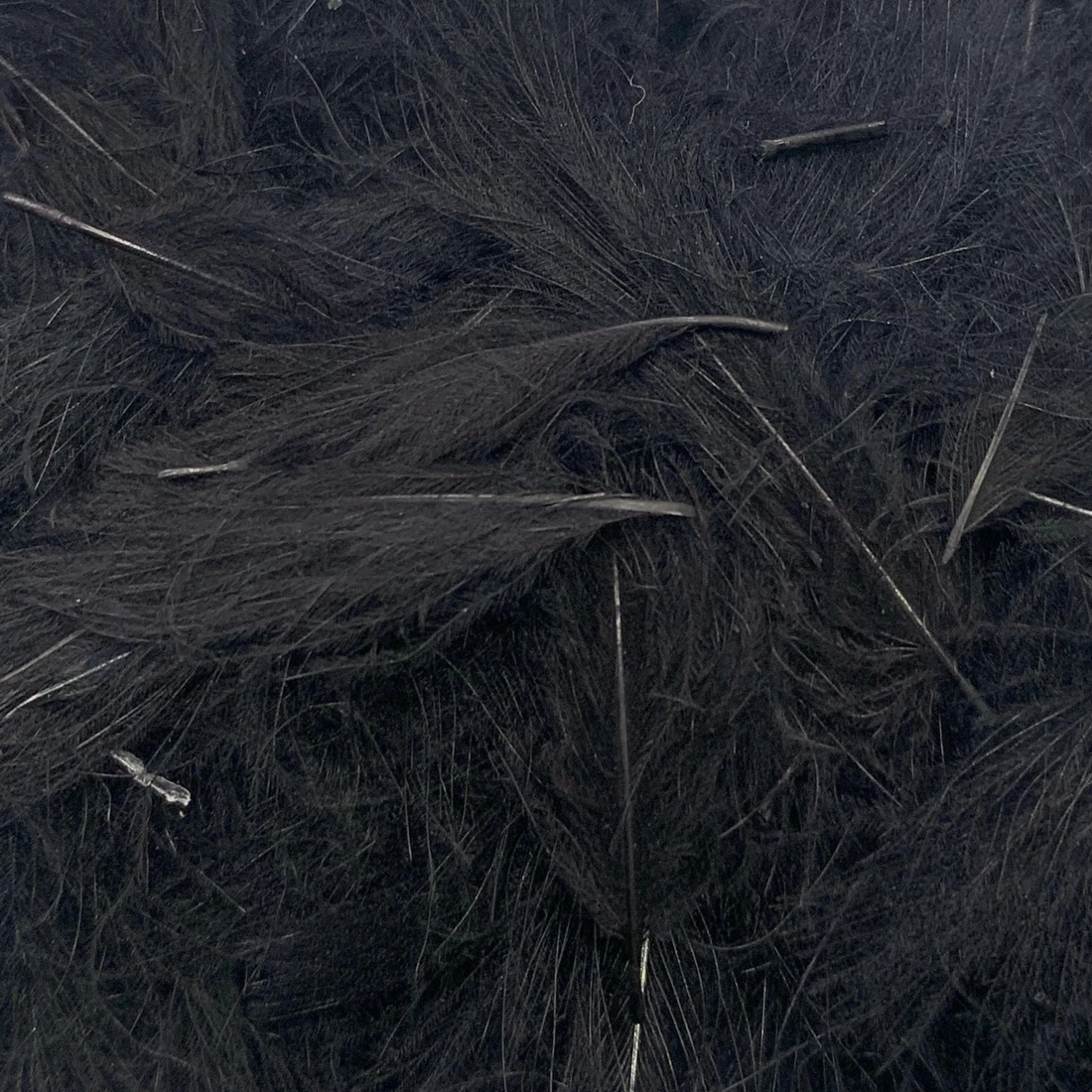 Swiss CDC Super Select Grade - Image 18