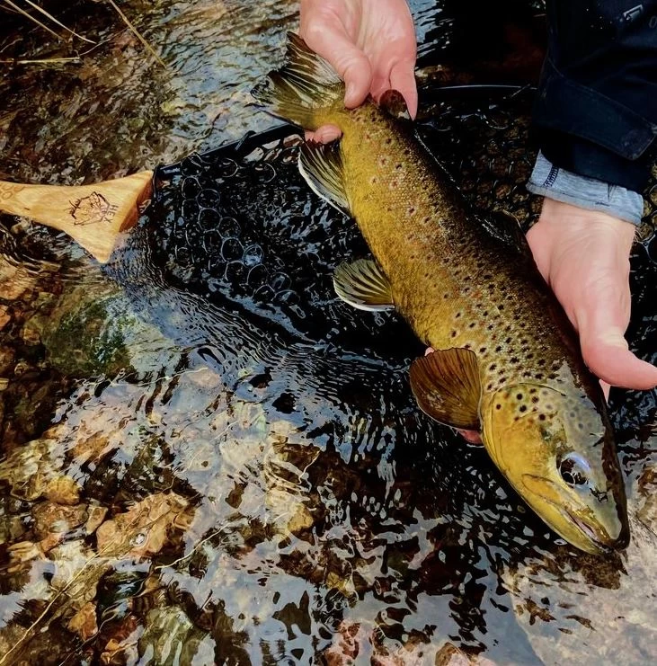 Hex Fly "Steel-Head" Reach Net - Image 3